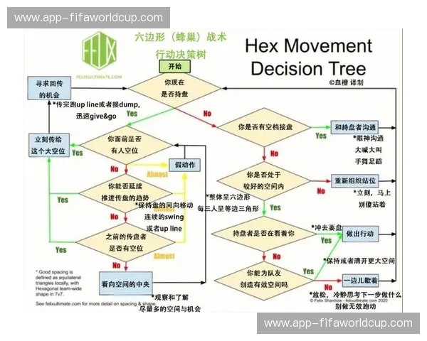 飞盘分析：从力学到战术的全景解读